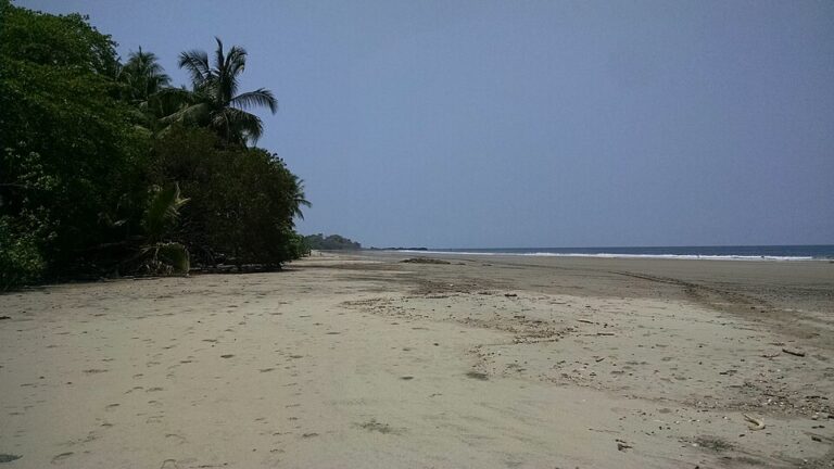 American Tourists Warned: Taking This Beach Keepsake Home From Costa Rica Could Lead to a $36,000 Fine.