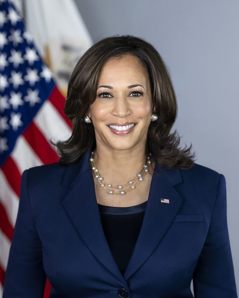 Kamala Harris Reveals Controversial Plan for Democrats to Challenge Republicans: “This Is Going to Be Controversial…”
