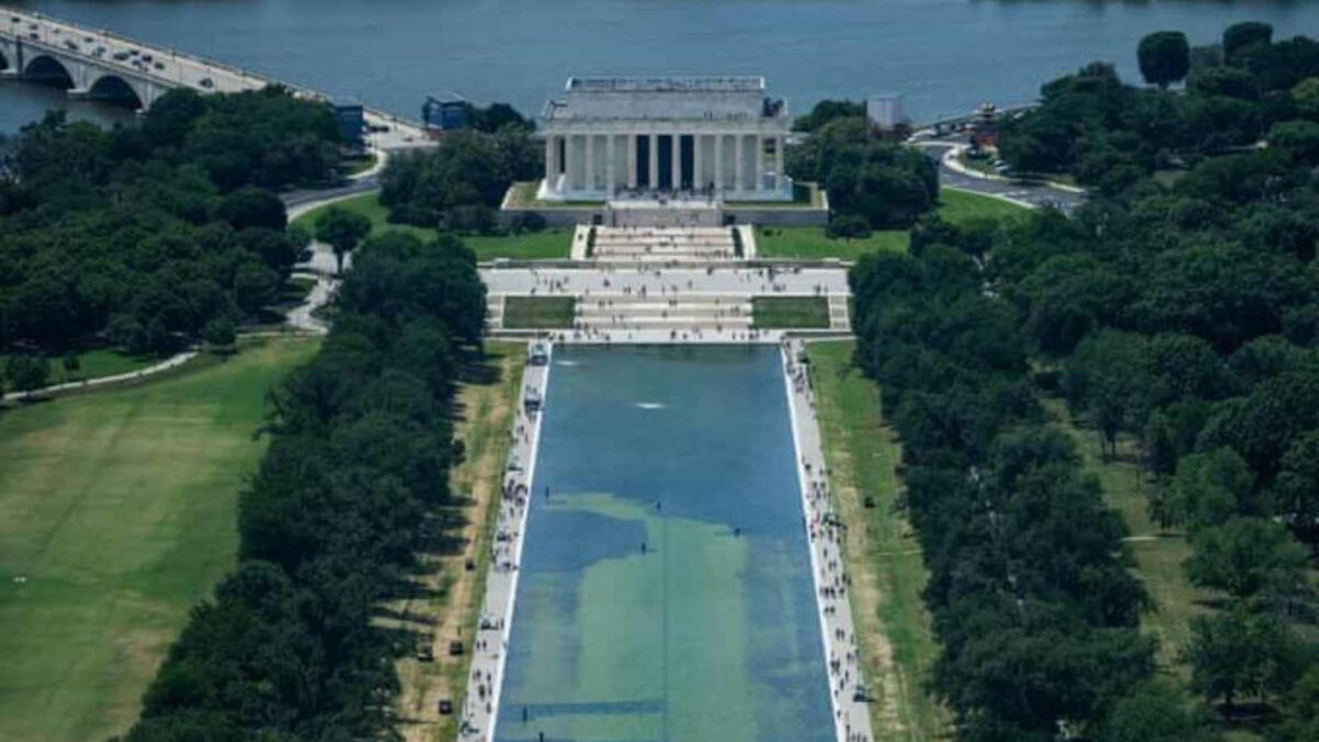Reflecting Pool Fallout Deepens: Arrest Claims, Algae Surge, and the National Mall’s Most Contested Renovation in Years 1 Reflecting Pool