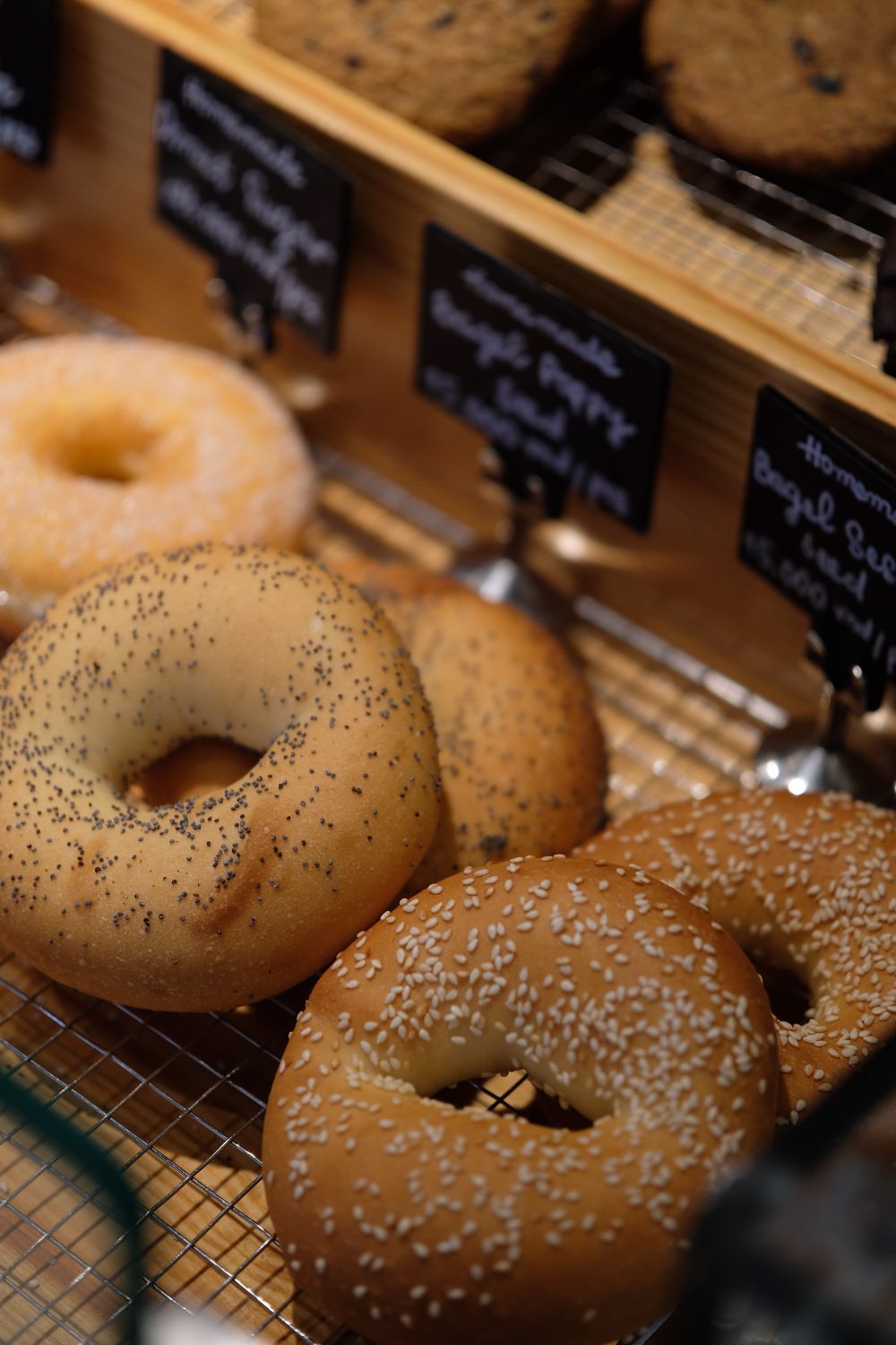 A close-up of various types of fresh bagels in a bakery setting.