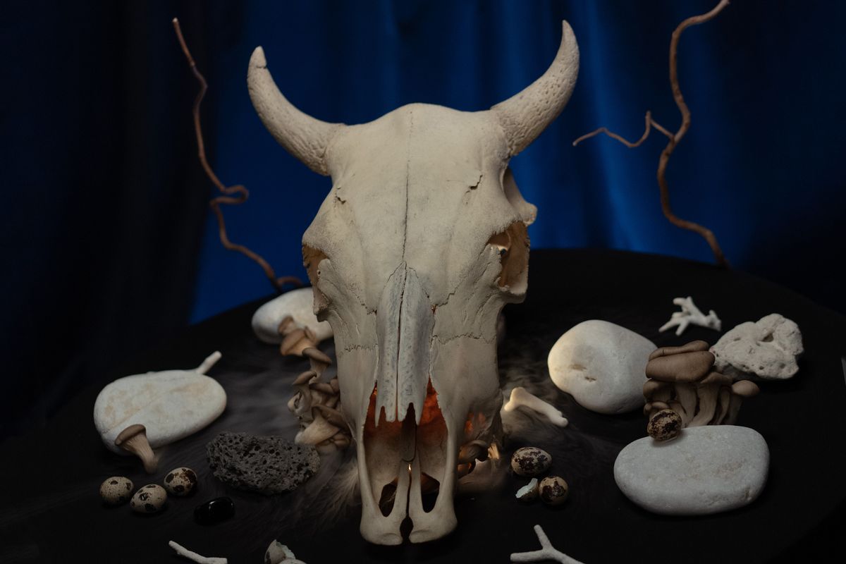A gothic animal skull surrounded by mystical elements against a dark backdrop, creating a mysterious atmosphere.