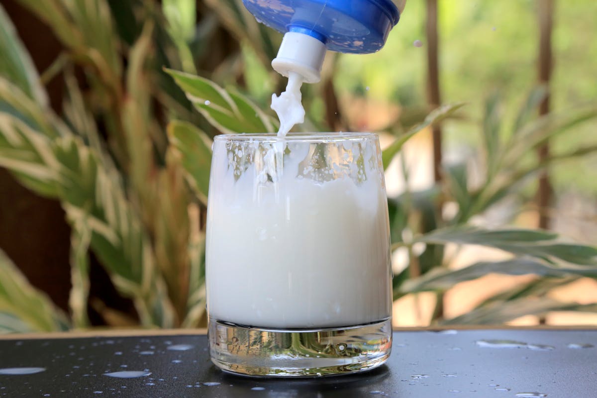 A refreshing white liquid pouring into a glass outdoors with green leaves in the background.