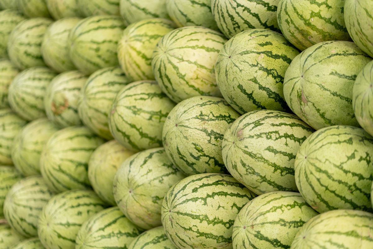 A stack of fresh green watermelons with vibrant stripes showcasing a summer harvest.