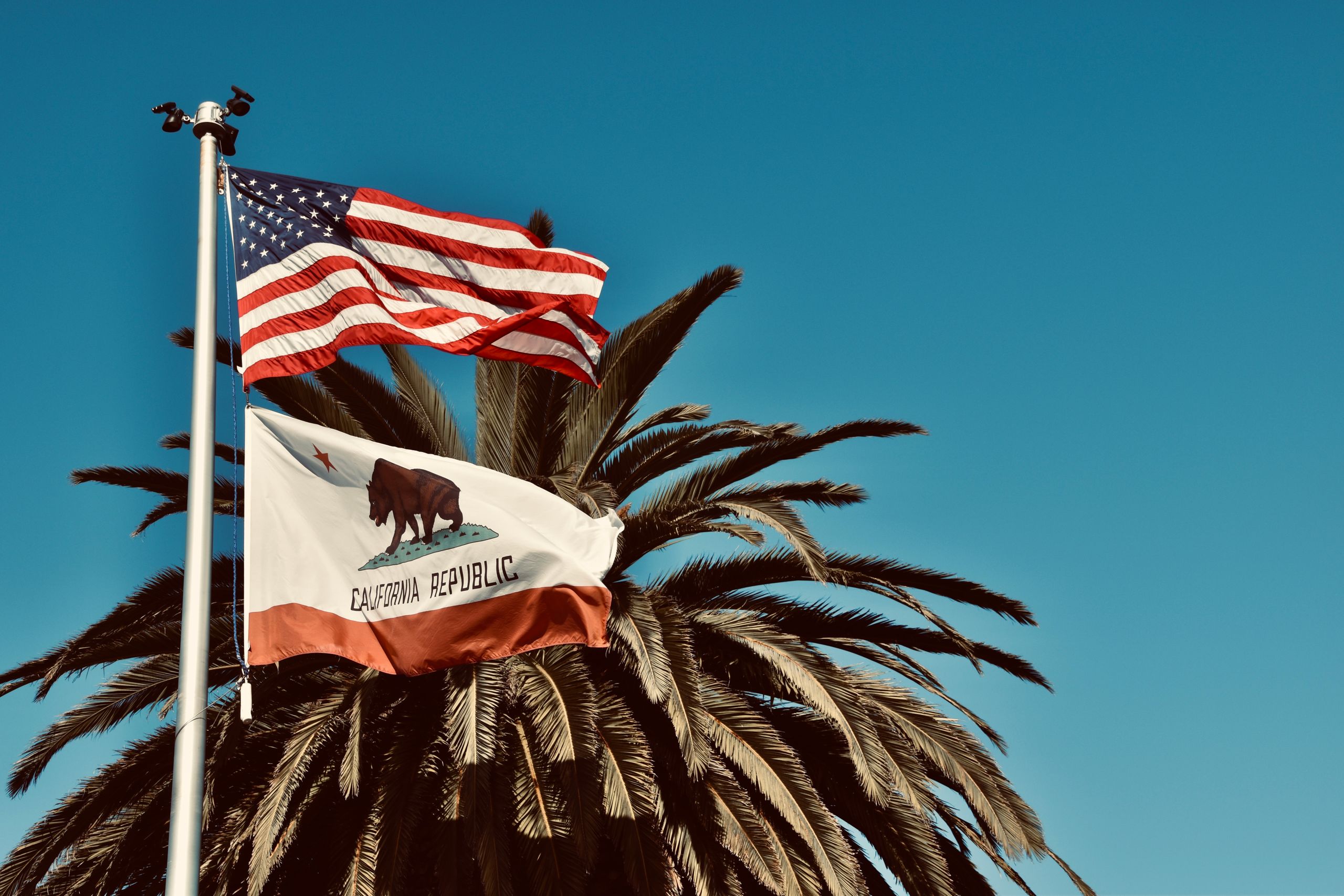 American and California flags waving against a palm tree backdrop in sunny Monterey, CA.