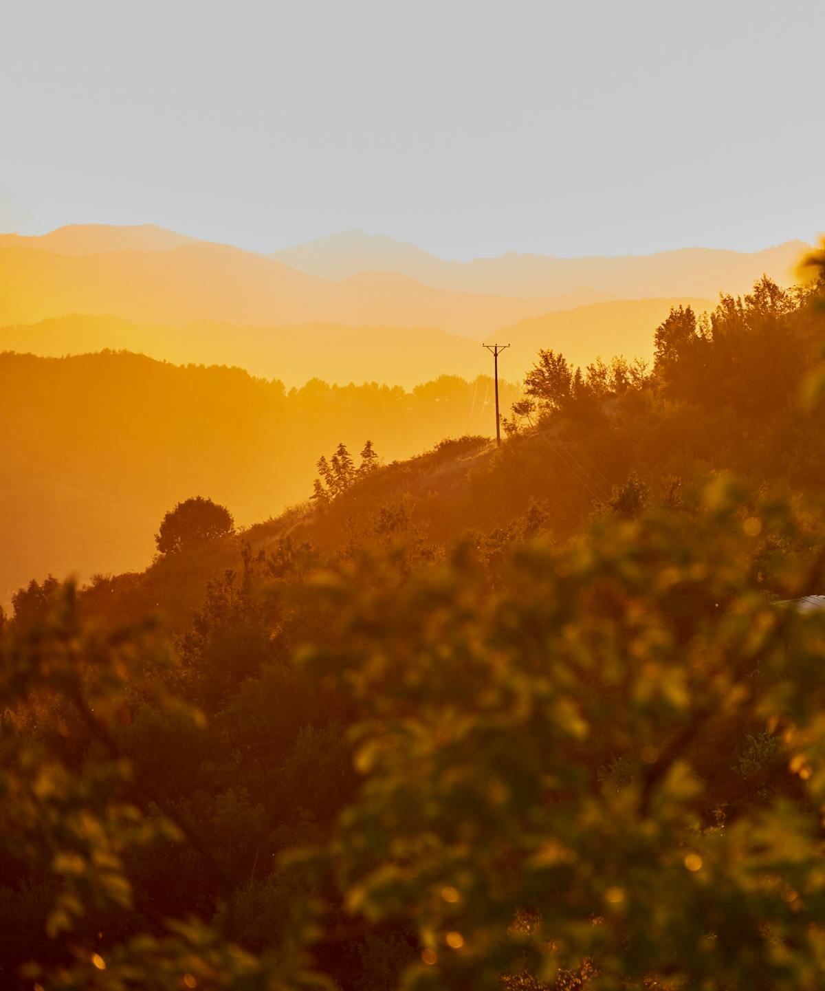 10 California Regions Where Wildfire Smoke Can Turn Dangerous Fast 2 Beautiful golden hour landscape in the hills of Tirana, Albania.