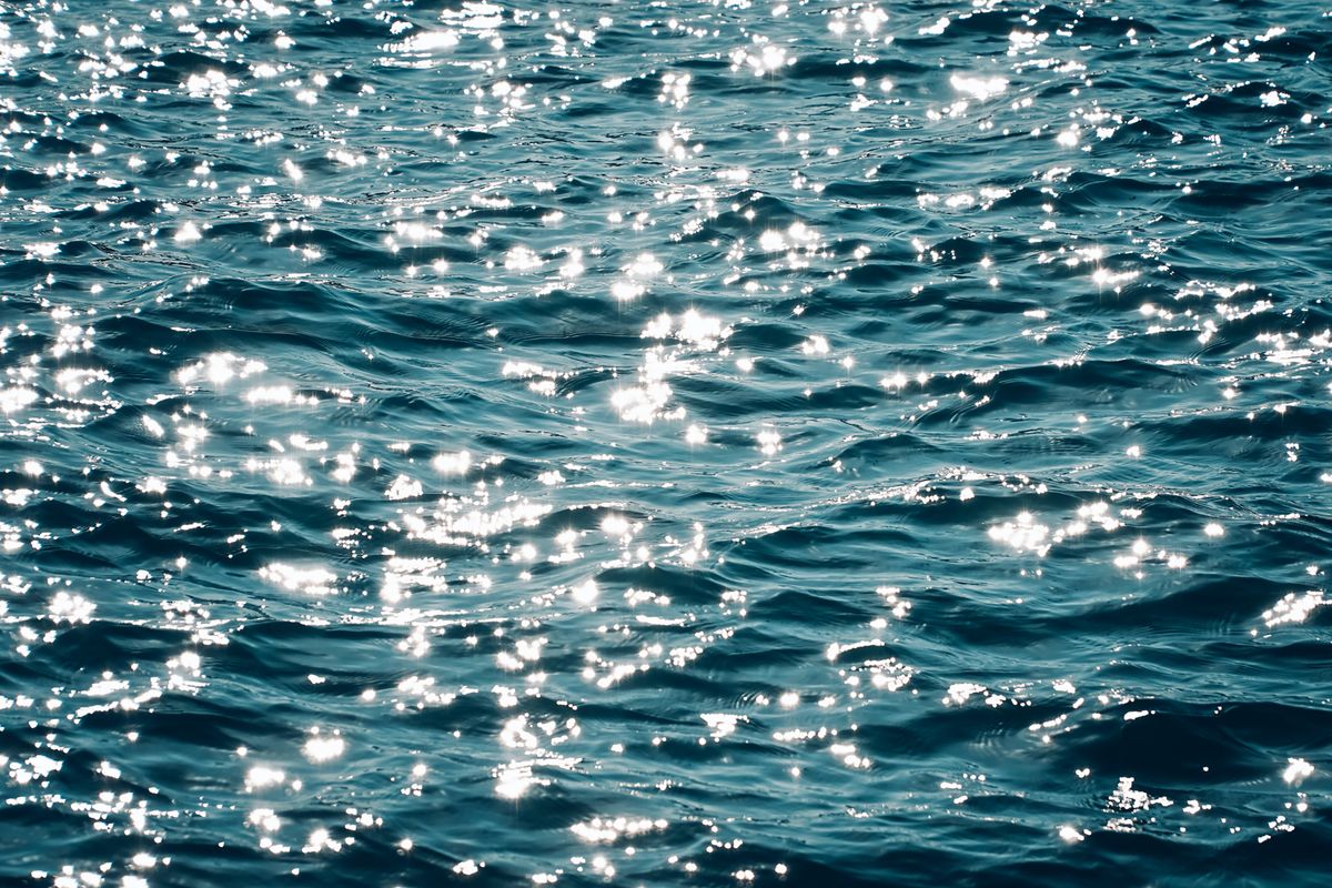 Darkness Killed the Dinosaurs: How a 66-Million-Year-Old Asteroid Starved the Oceans. 4 Captivating view of sparkling sunlight over the Bosphorus waters in Istanbul.