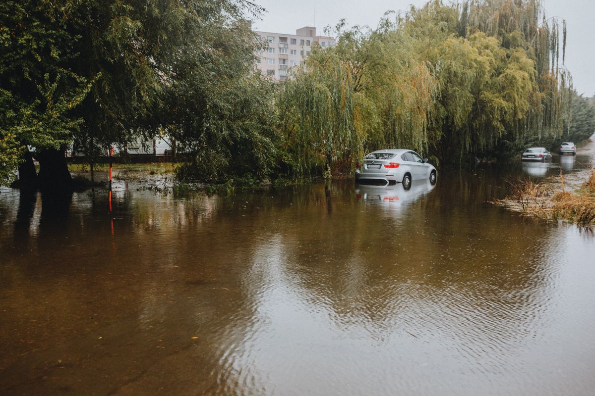 Cars stranded on a flooded street surrounded by tall trees. Rainy season aftermath.