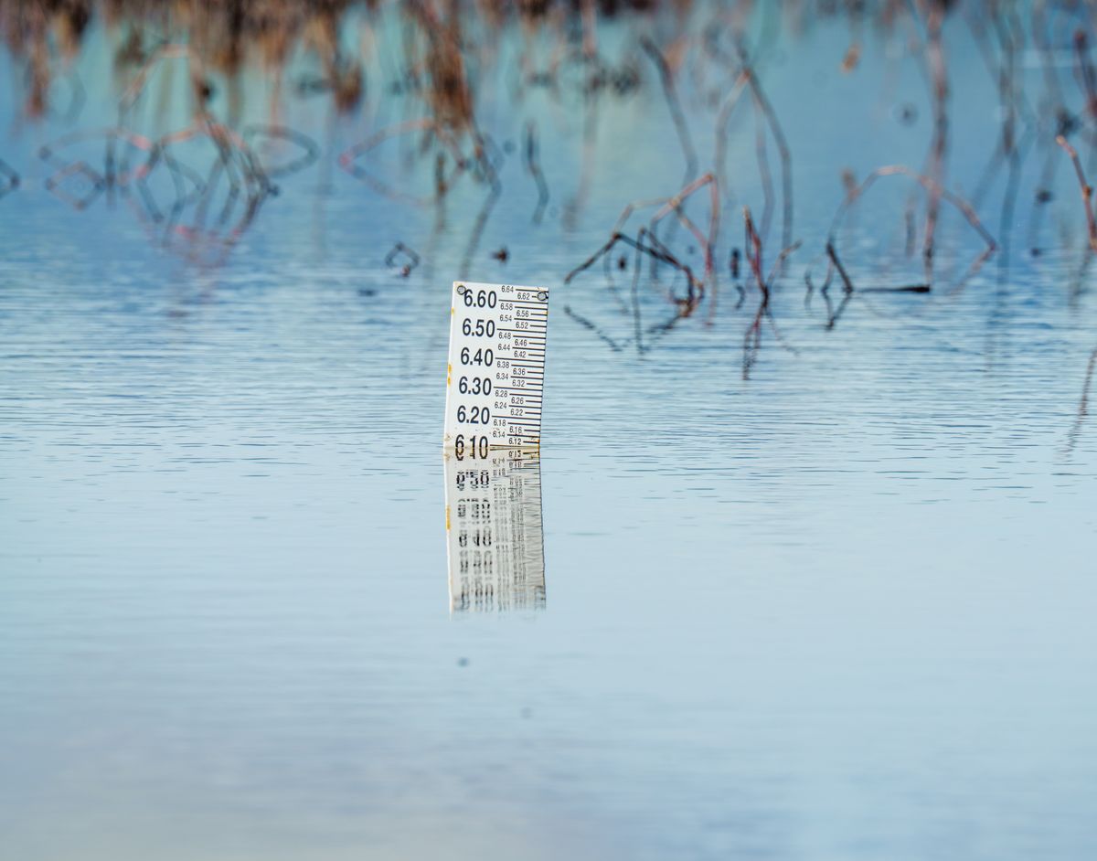 Sarasota Residents Face Tougher Watering Limits as Extreme Shortage Order Stretches Through October 2 Close-up of a flood gauge in water, reflecting calm surroundings. Perfect for environmental themes.