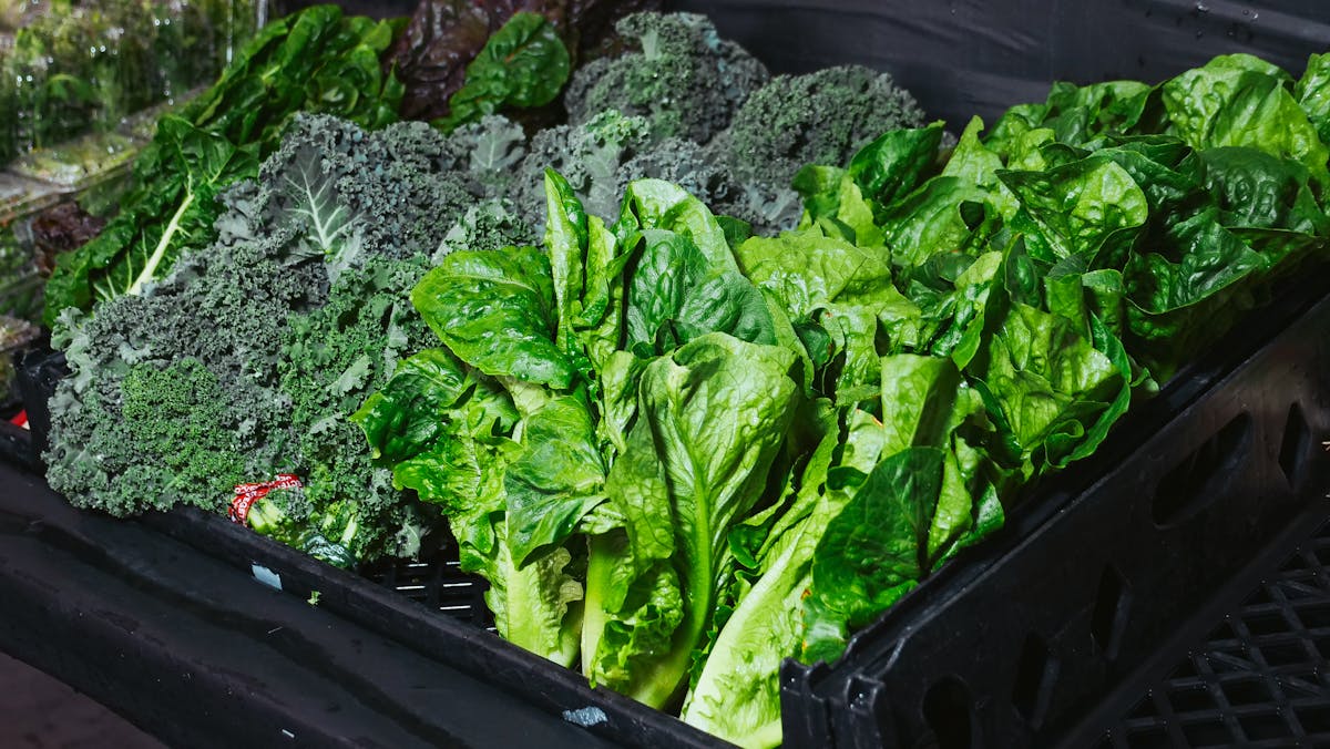 Close-up of vibrant kale and lettuce leaves on display at a market stall.