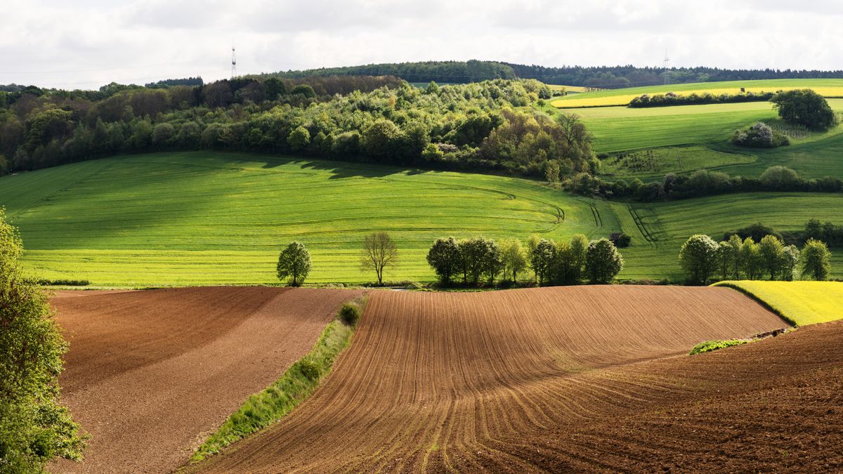 Expansive lush fields and hills in Brakel, Nordrhein-Westfalen on a sunny spring day.