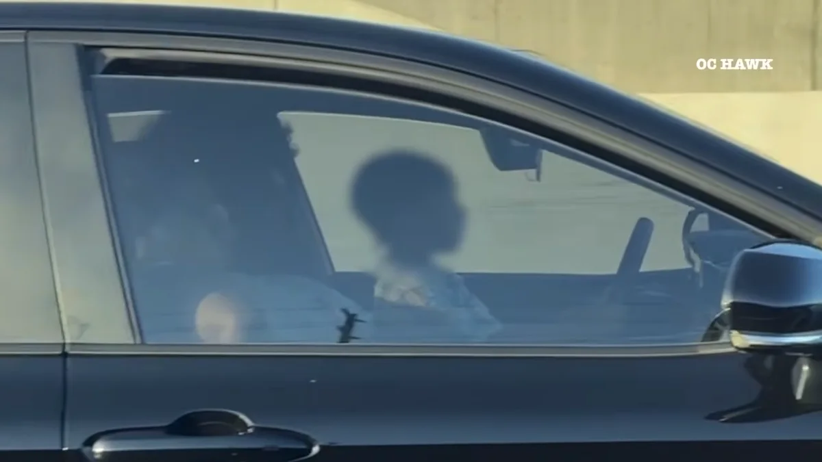 Child Seen Steering Car on California Freeway at Highway Speed Sparks Safety Outrage and Legal Questions 1 image 15