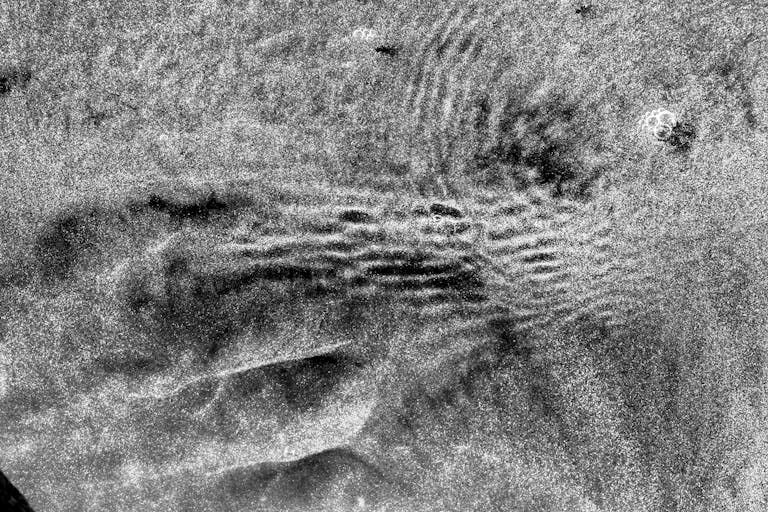 Darkness Killed the Dinosaurs: How a 66-Million-Year-Old Asteroid Starved the Oceans.