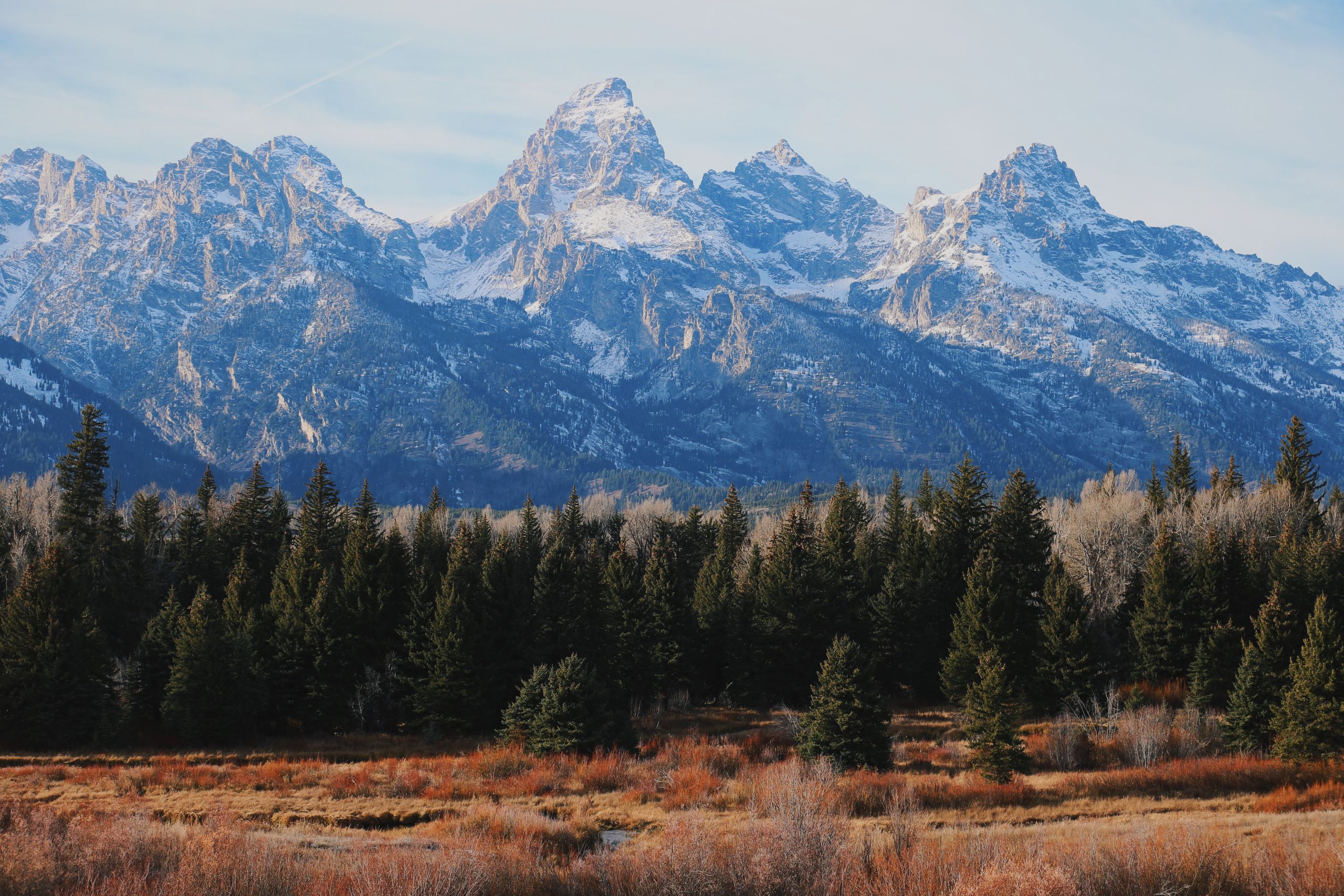 Majestic view of the Grand Teton mountain range in Wyoming with evergreen forests in the foreground.