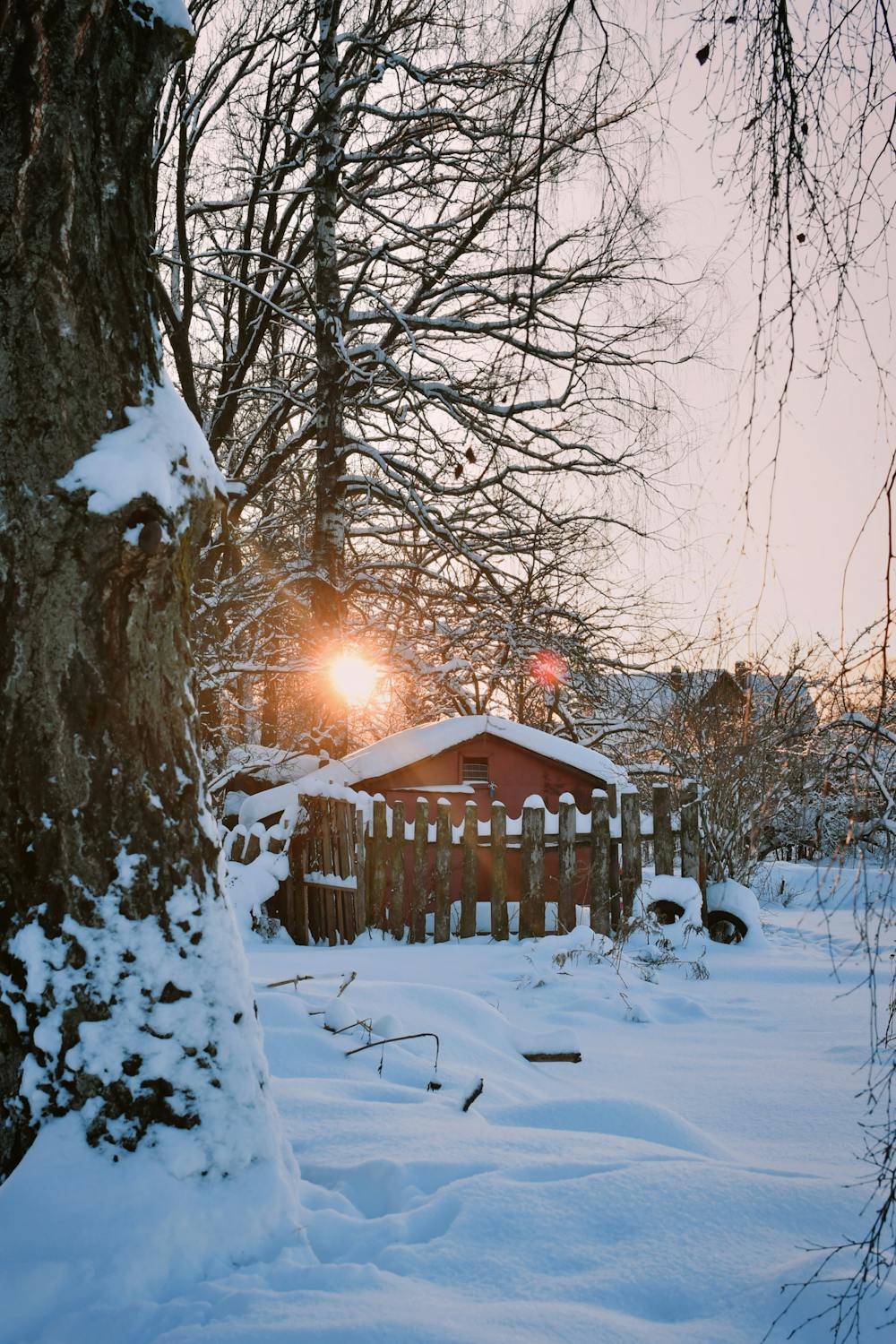 10 Harshest Places People Call Home 1 Peaceful snowy backyard scene with a warm winter sunset.