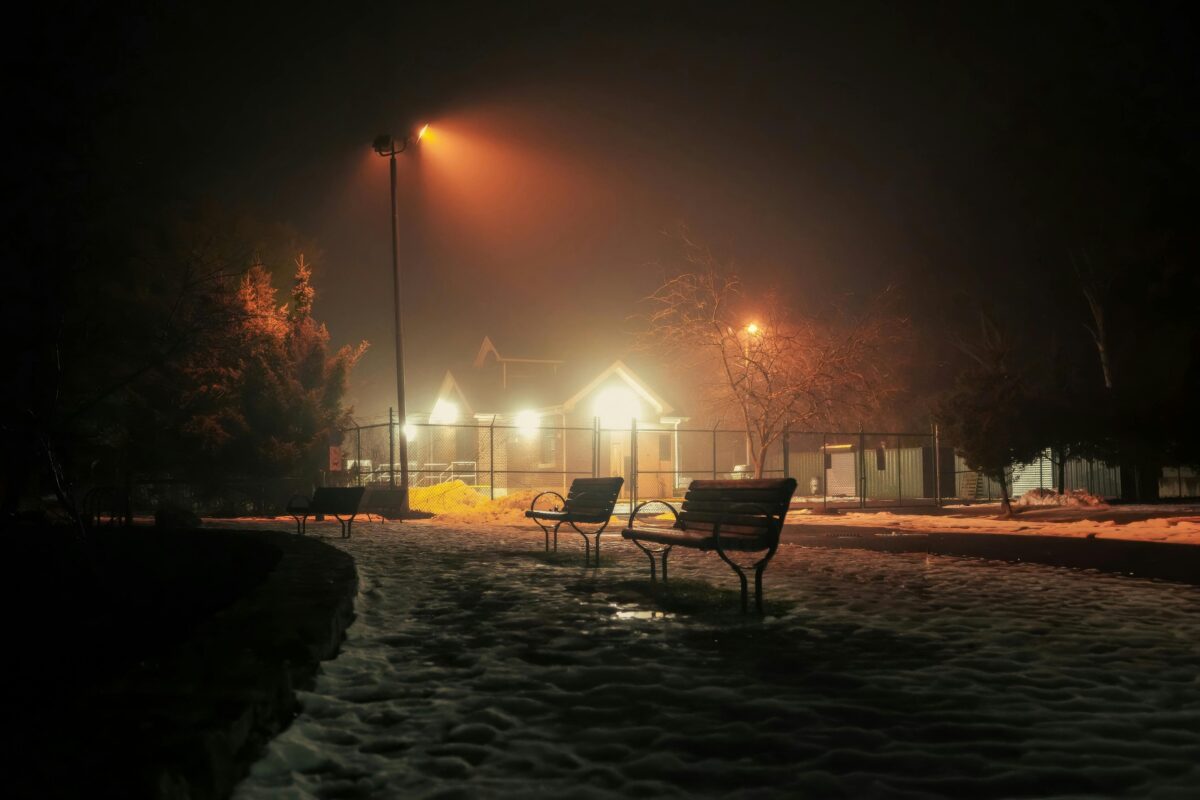 atmospheric-winter-night-in-foggy-park