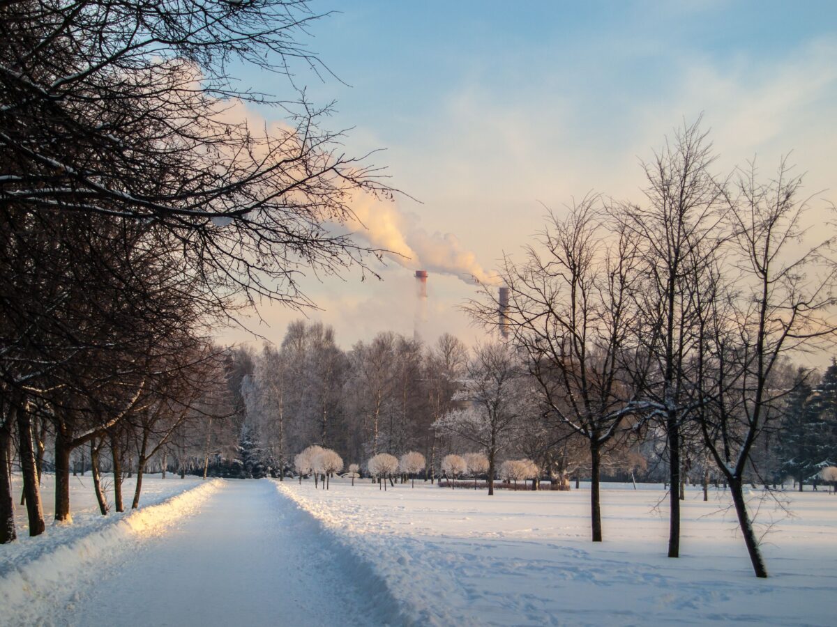 10 U.S. States With the Worst Air Quality Problems 3 bare-trees-on-snow-covered-ground