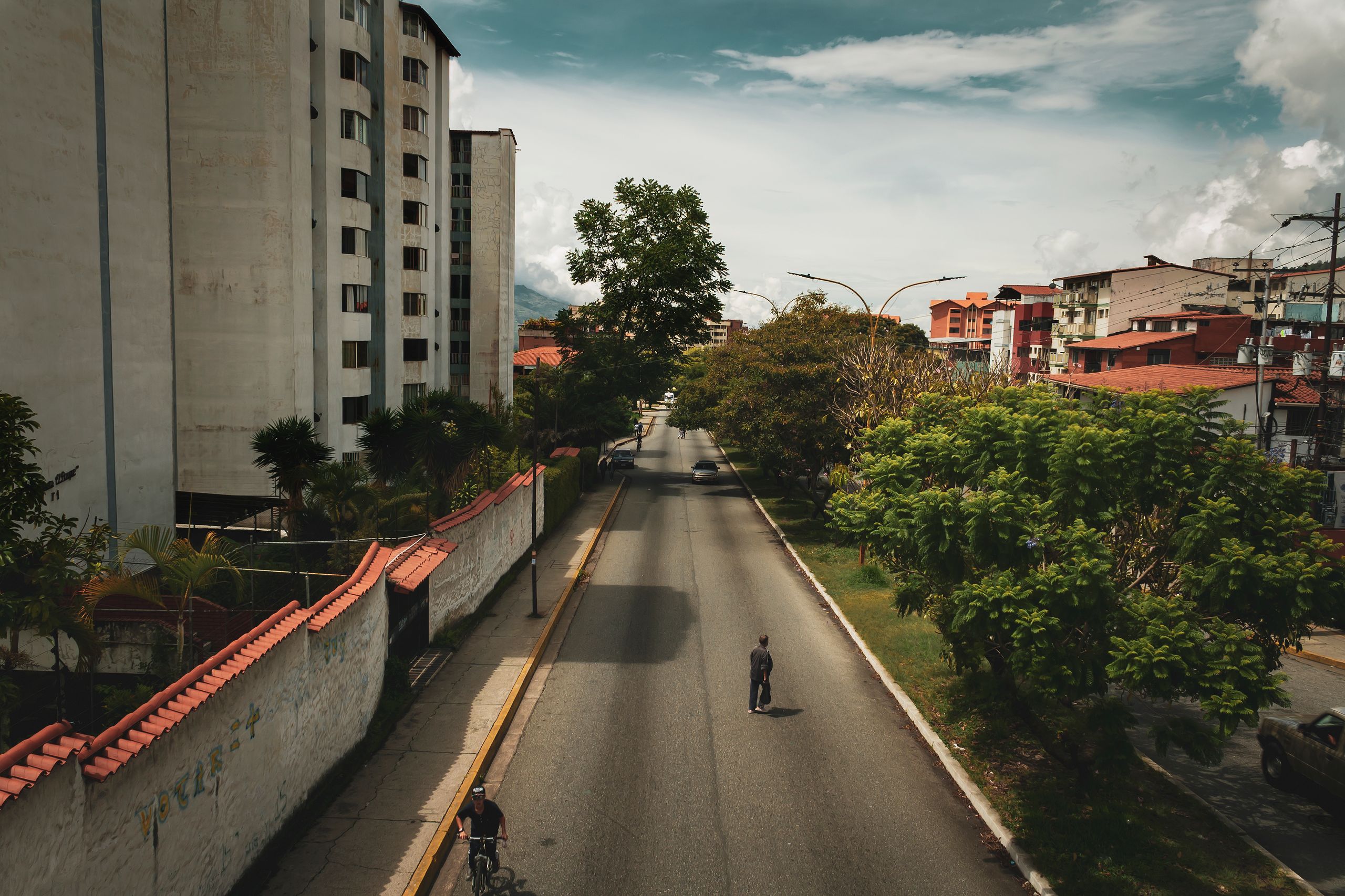 Quiet urban street in Mérida, Venezuela with trees lining the road.