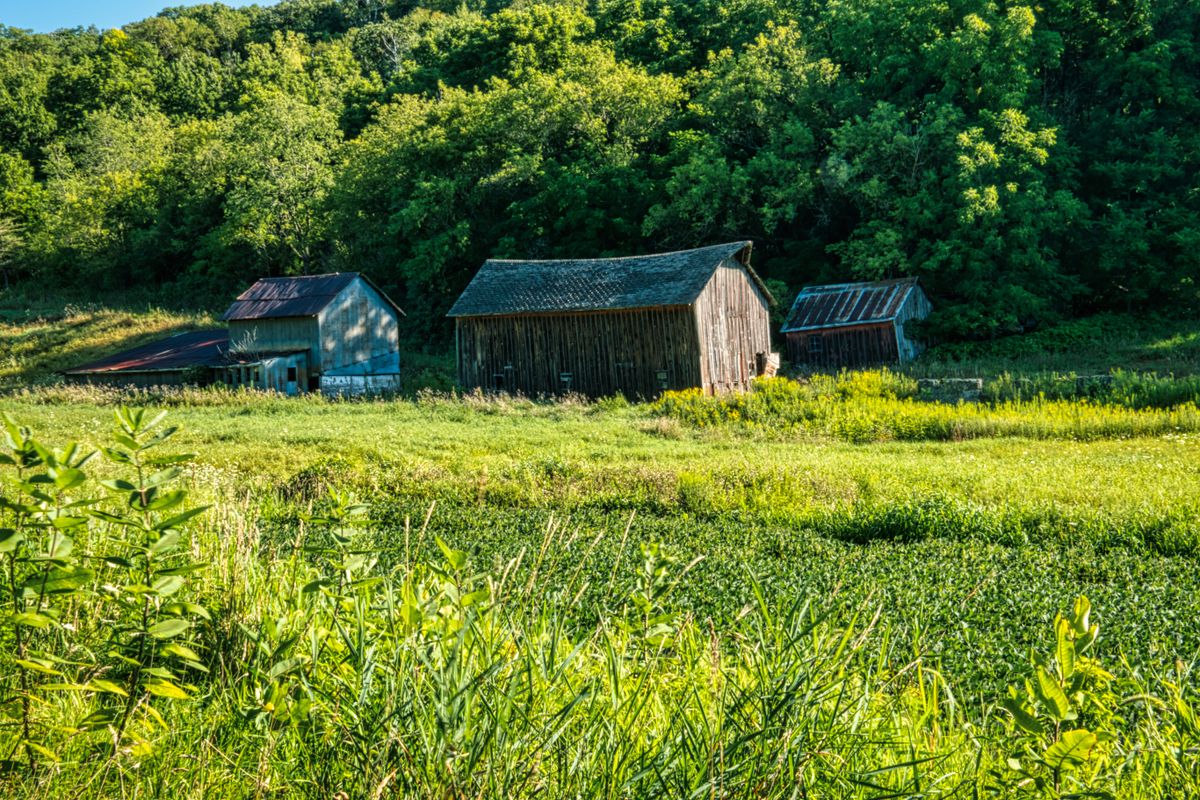 Rural America’s Housing Problem Is No Longer Hidden Behind the Pretty Scenery 2 Scenic countryside view of old barns and lush greenery in Minnesota.