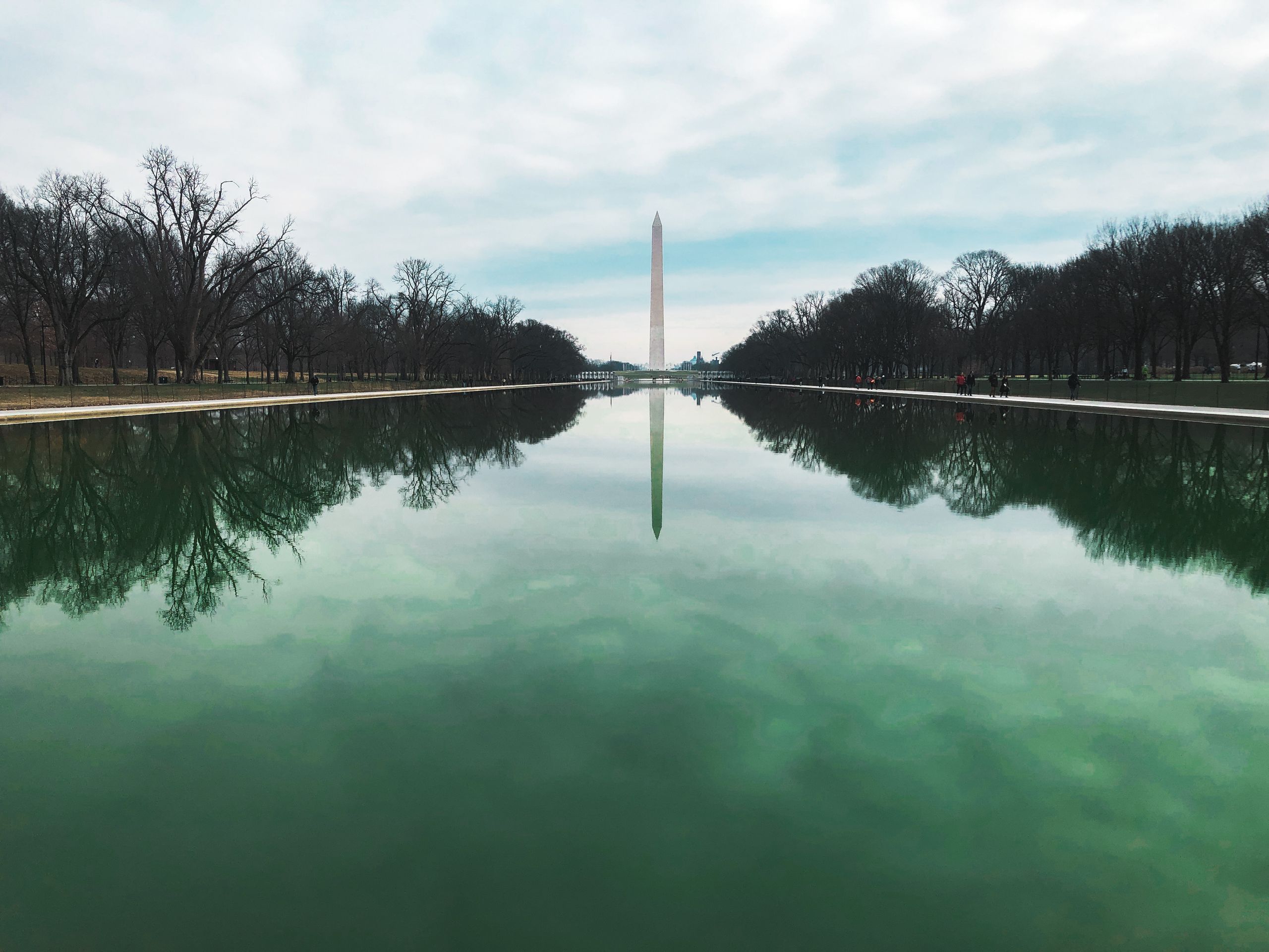 Trump’s Blue Reflecting Pool Turns Green, and Americans Are Left Staring at a $14 Million Washington Puzzle 1 Washington Monument with reflection in the pool, framed by trees and cloudy sky.