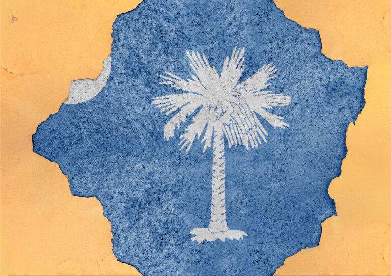 Trump’s Senate Pick Creates a Political Family Showdown in South Carolina