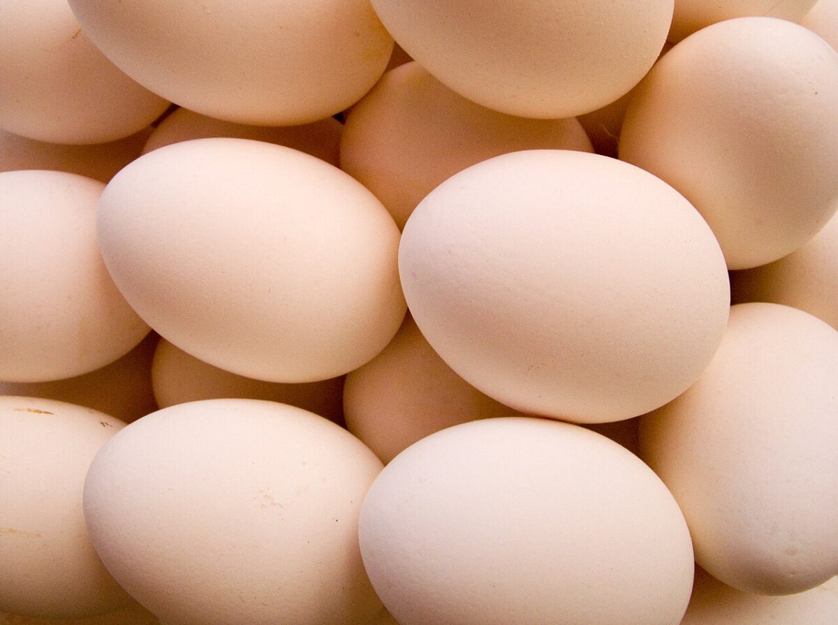 Fresh_Eggs