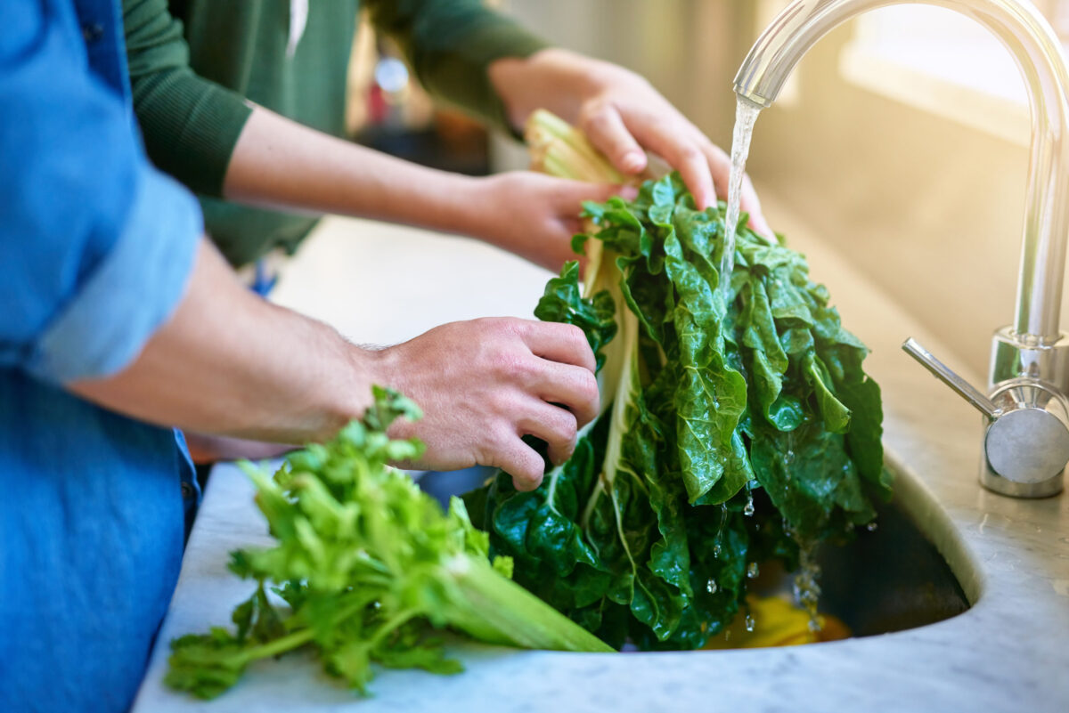 Taco Bell Lettuce Cyclospora Outbreak Raises New Questions About America’s Food Supply Chain 3 184441920 m
