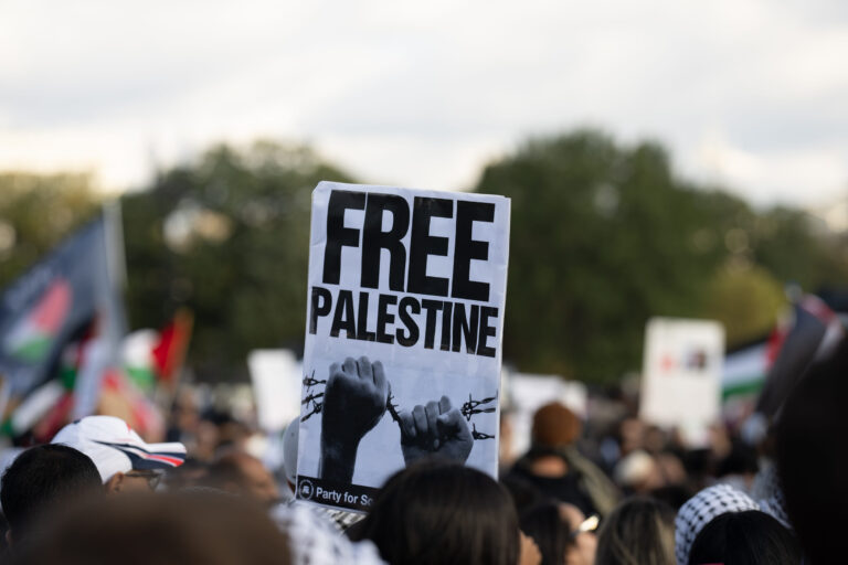 South Africa’s Gaza Genocide Case Draws 22 Interventions, but “Backing” Is Not the Whole Story