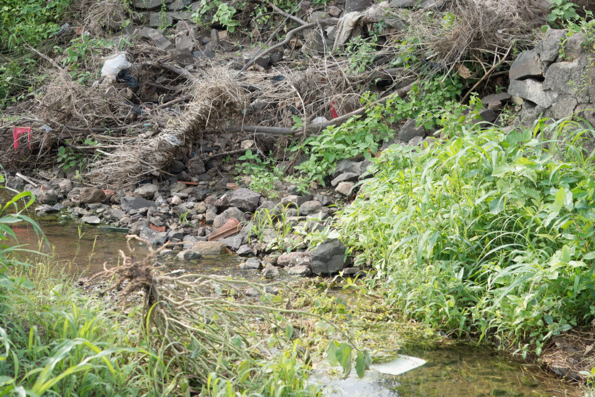Newark Protesters Push for Faster Passaic River Cleanup as Long-Stalled Superfund Work Faces New Pressure 1 Neglected Waterway Amidst Debris and Greenery - Environmental Impact