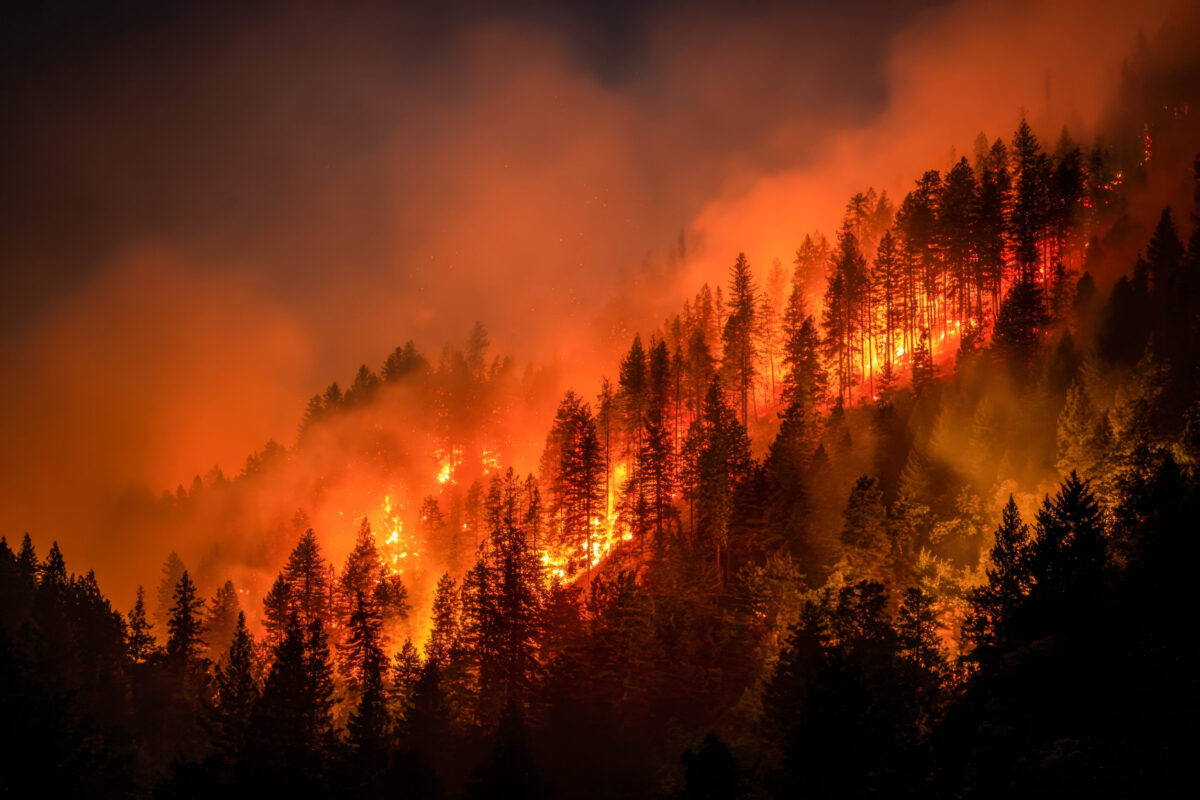 A British Couple Found Semi-Conscious With 40% of Their Bodies Burned in Spain Wildfire Horror. 1 A fierce blaze consumes a hillside cluster of pines under a night sky, with towering flames and dense smoke erasing the wilderness in fiery chaos.