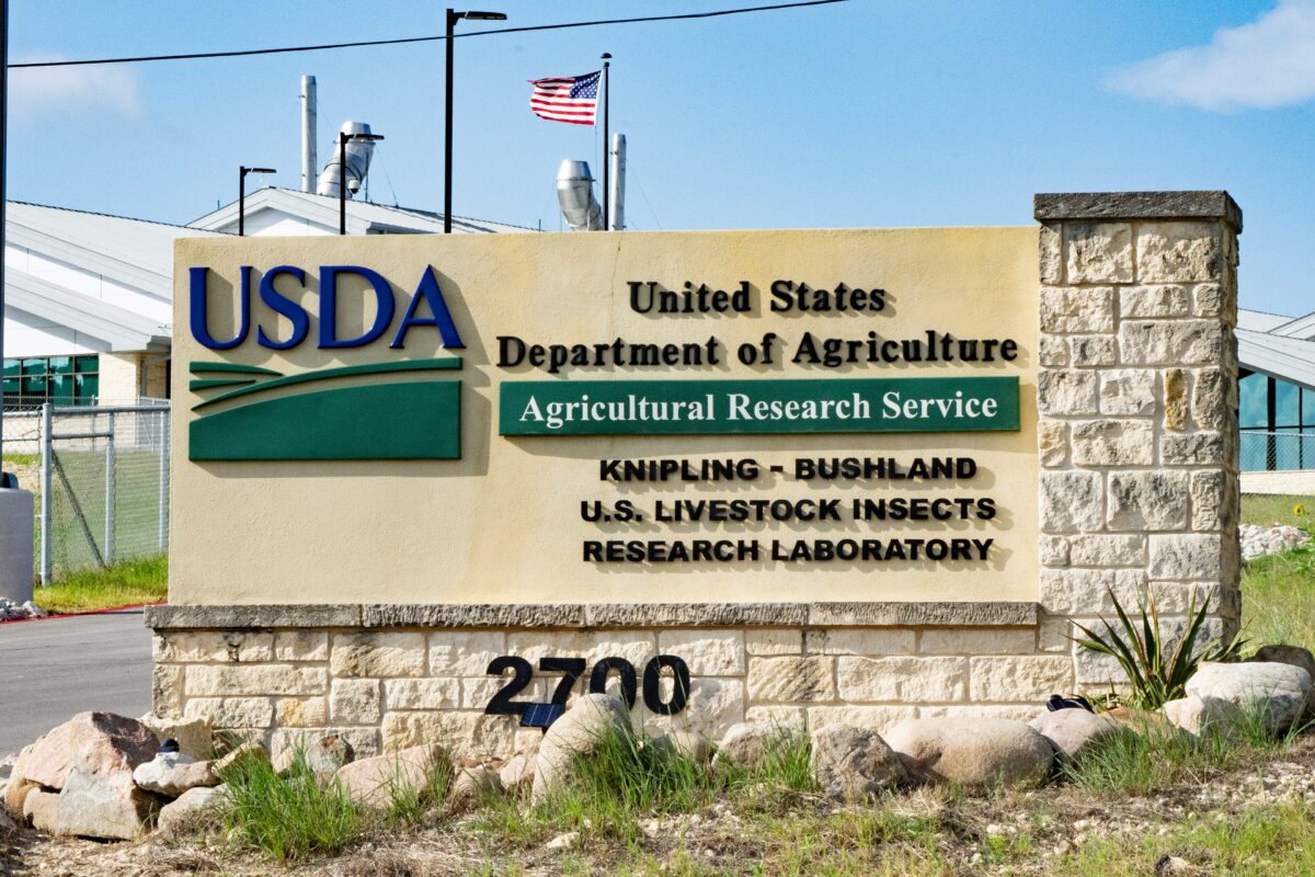 New World Screwworm in Texas 31 Confirmed Infestations Raise Alarm for Ranchers, Pet Owners, and Wildlife Officials 1 3840px thumbnail