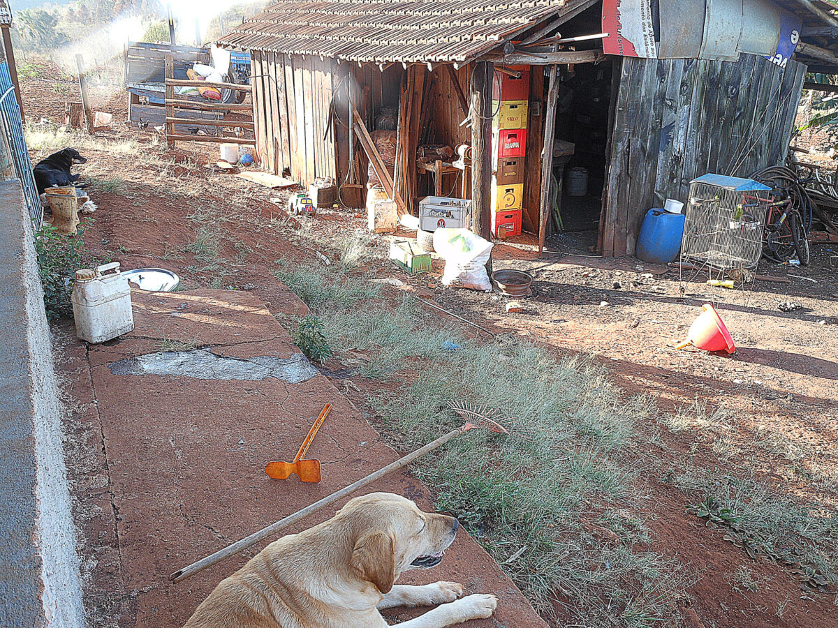 Smallholding in Brazil