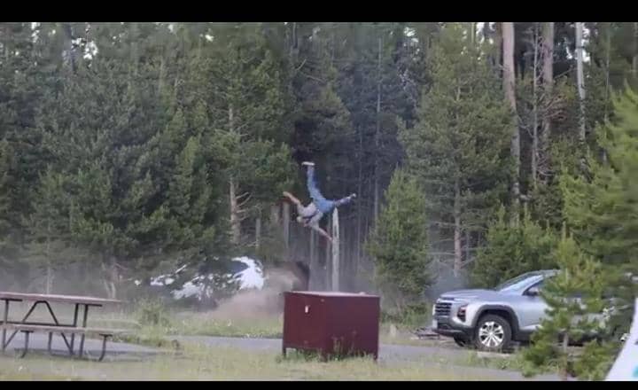 Yellowstone Bison Attack Caught on Video as Visitor Is Thrown Into the Air at Campground 3 WhatsApp Image 2026 07 14 at 7.45.52 AM 1