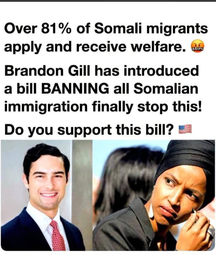 Brandon Gill Wants a 25-Year Ban on Somali Immigration, but the Viral 81% Welfare Claim Needs Context.