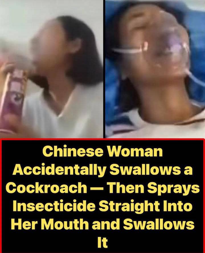 Viral Cockroach Panic Takes Dangerous Turn as Woman Reportedly Swallows Insecticide