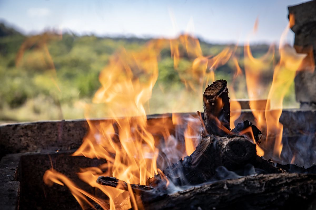 A close-up of a vibrant bonfire outdoors with blazing flames and smoldering wood.