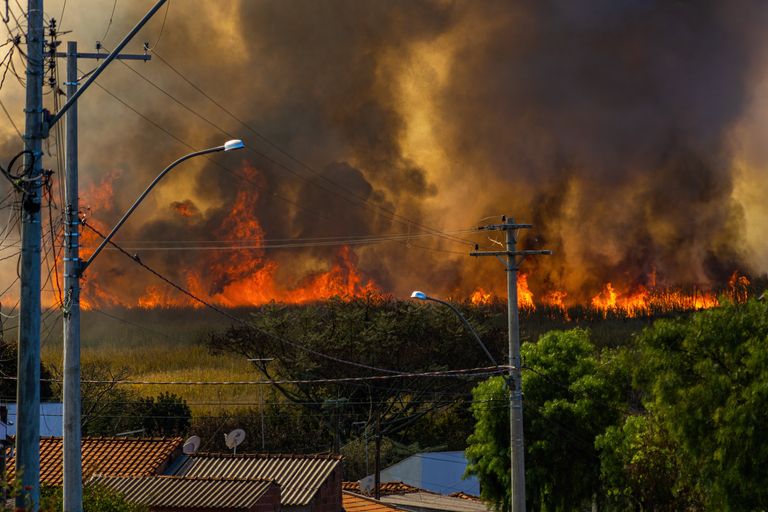 The 2026 Catastrophe Warning: What Scientists Are Really Saying About Population, Climate and Global Risk
