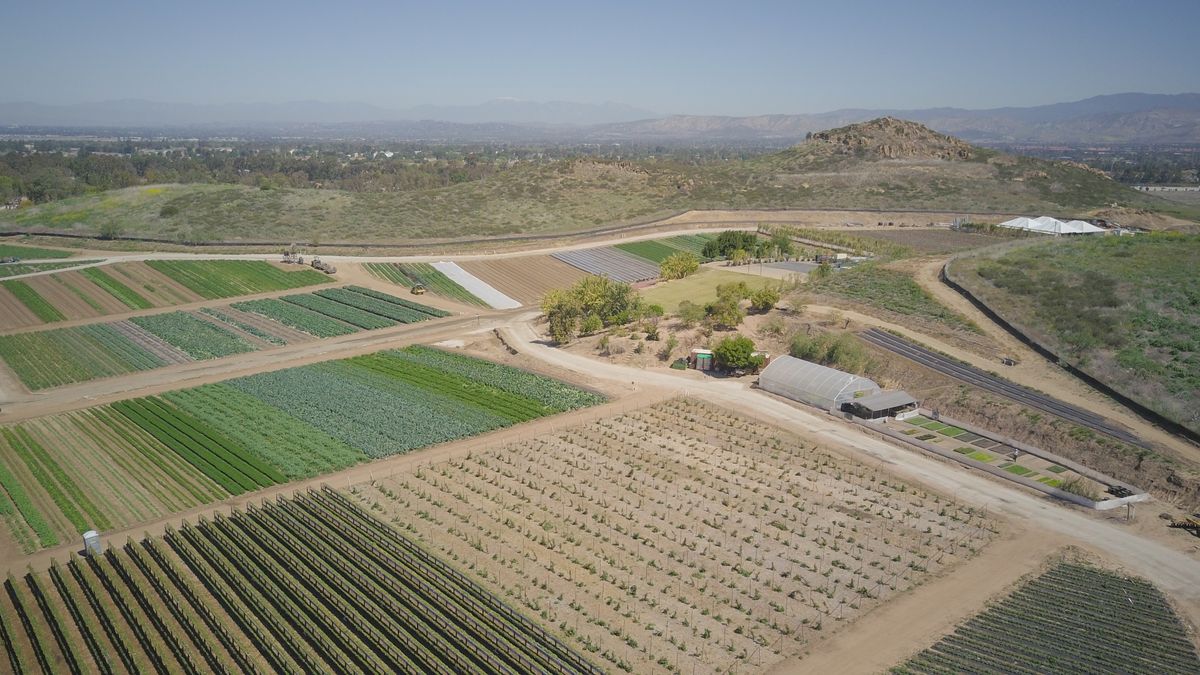 Aerial shot of well-maintained agricultural fields with greenhouse structures under a clear sky.