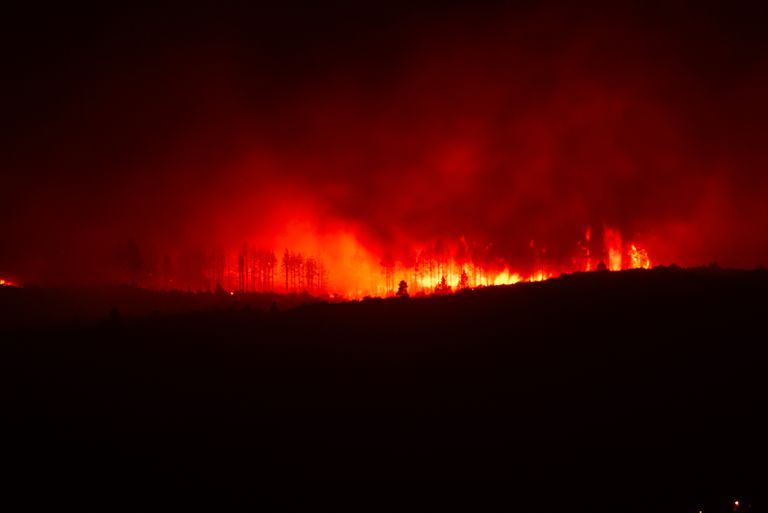 835 Canadian Wildfires Darken U.S. Skies as Hazardous Smoke Reaches Millions
