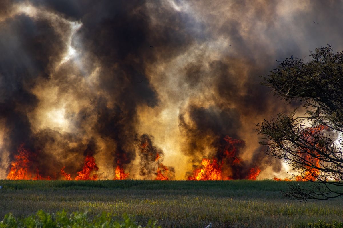 835 Canadian Wildfires Darken U.S. Skies as Hazardous Smoke Reaches Millions 1 Intense wildfire engulfing rural landscape with thick smoke and bright flames.