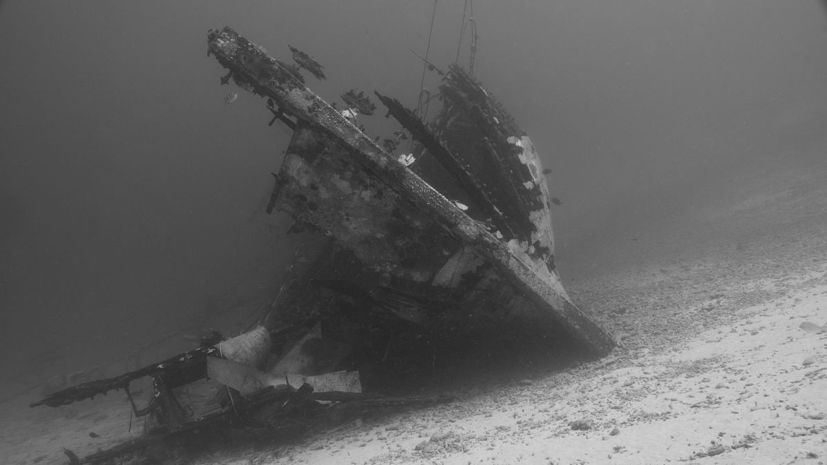 Monochrome image of a submerged shipwreck in the Caribbean Sea.