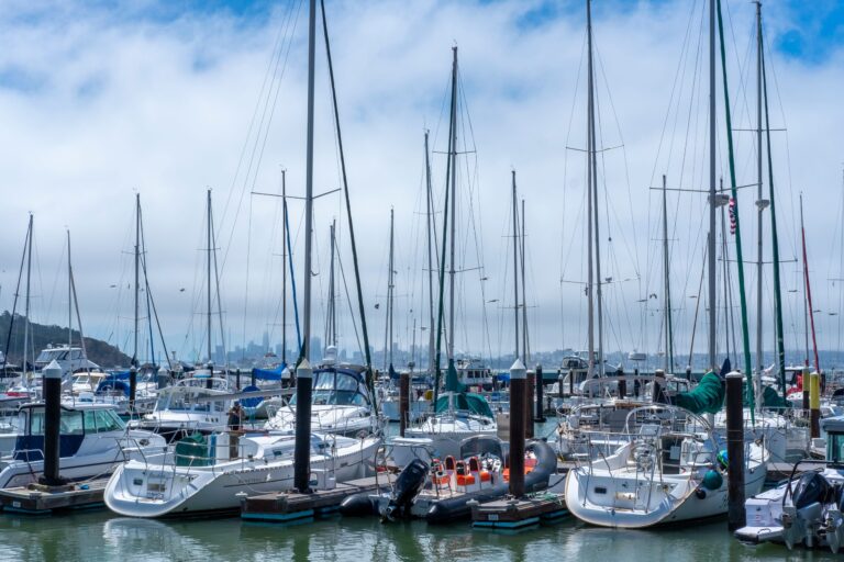 Sausalito’s City Manager Elaine Forbes Arrested on a Yacht Just Three Weeks After Taking Over Top Job, Sending Shockwaves Through Local Government.