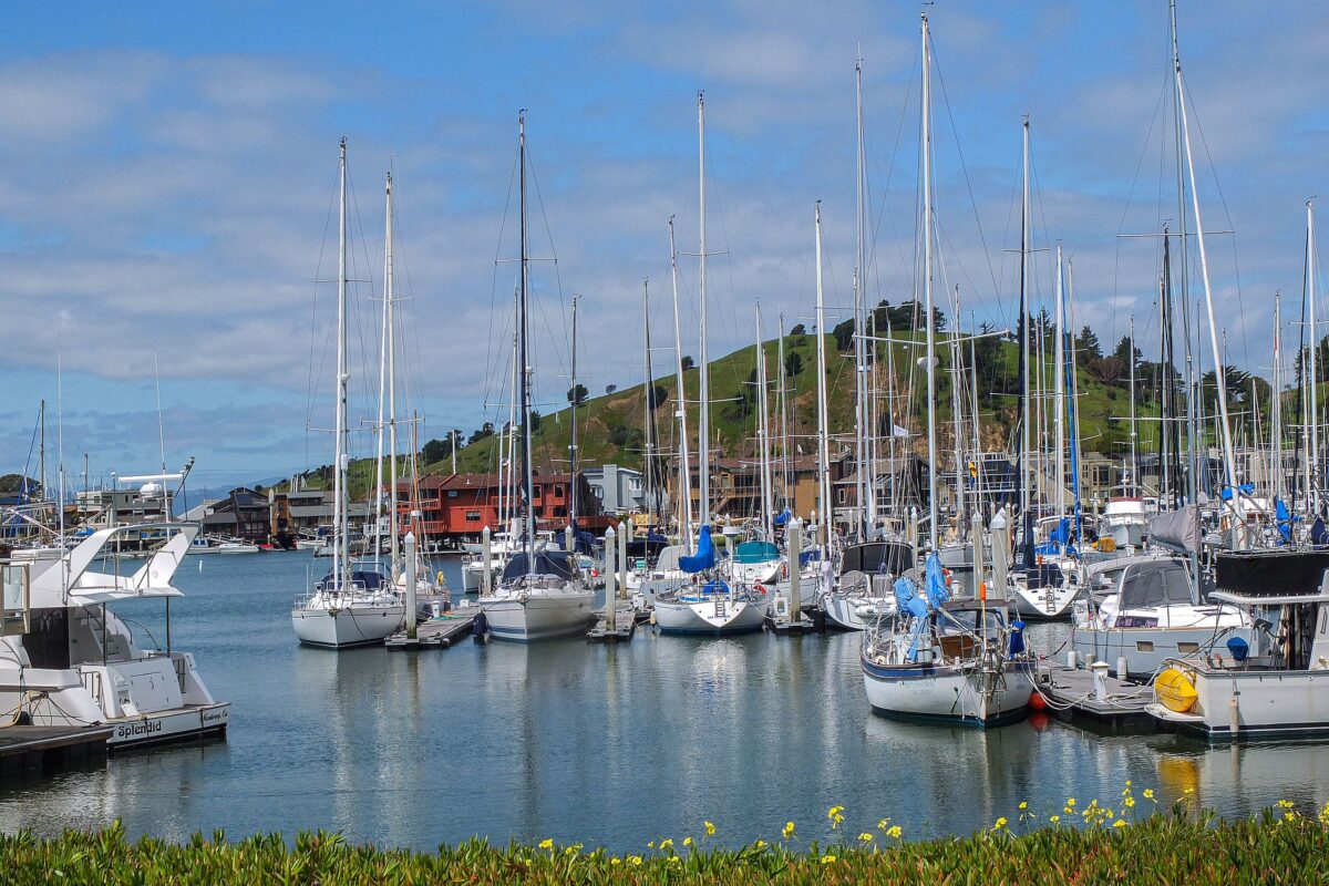 Sausalito's City Manager Elaine Forbes Arrested on a Yacht Just Three Weeks After Taking Over Top Job, Sending Shockwaves Through Local Government. 1 sailboats-in-marina