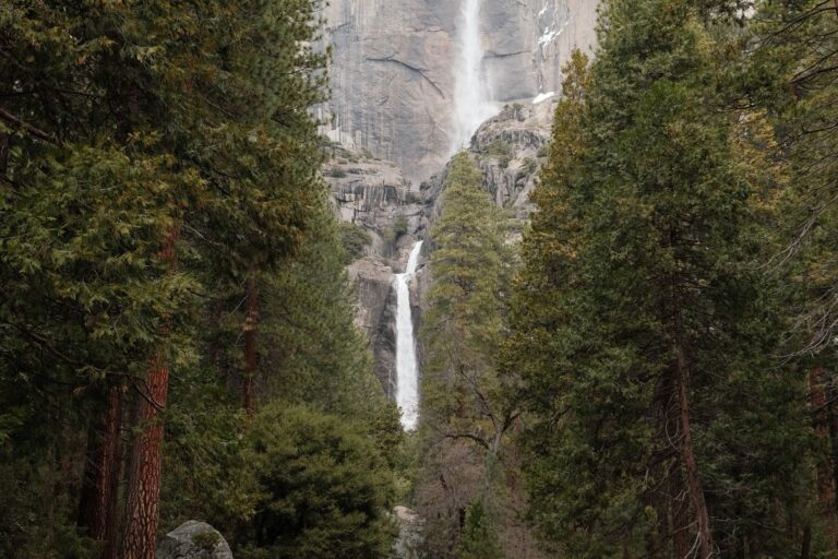 Yosemite National Park Feels Like America’s Most Beautiful Traffic Jam, and the Summer Surge Is Only Getting Worse.
