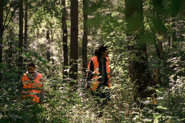 California Father and Son Accused in 15-Hour Wilderness Standoff After Forest Workers Allegedly Held Hostage