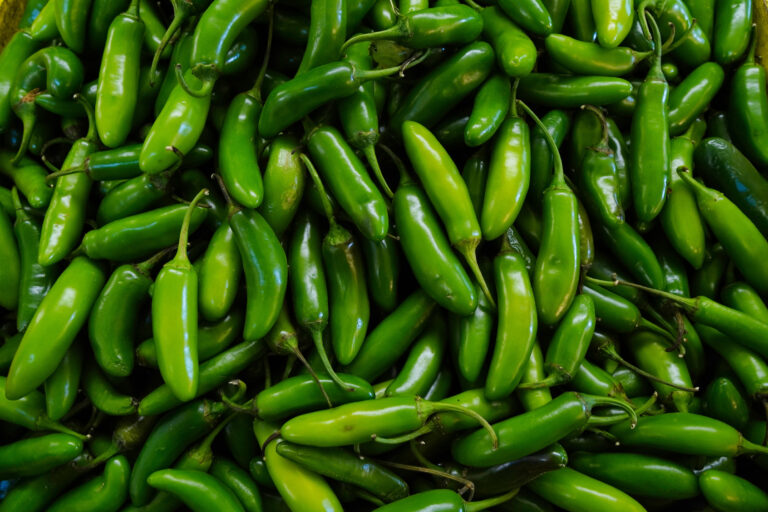 Jalapeño-Linked Salmonella Outbreak Sickens 345 People Across 27 States