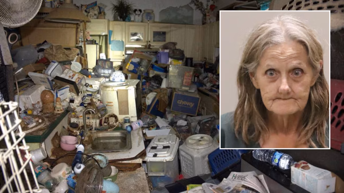 Florida Mail Carrier Accused of Trapping over 100 Cats, Dogs Stolen From Her Route. 1 LWEMFNFGRZH6NHUGGFJ252AMIU