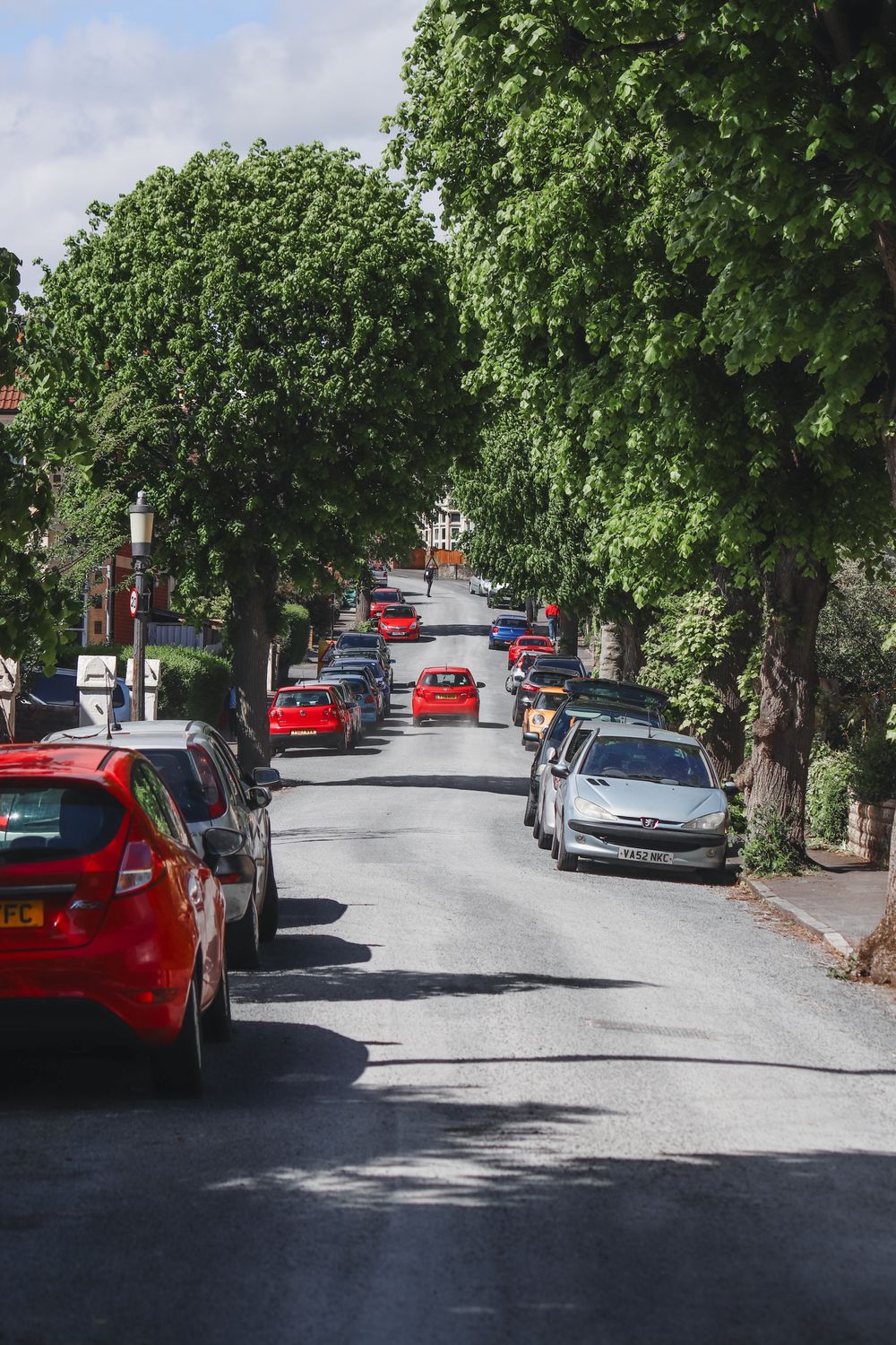 A picturesque city street lined with parked cars and green trees on a sunny summer day.