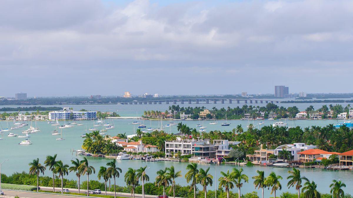 Scenic aerial view of tropical coast with palm trees and sailboats basking in summer sunlight.
