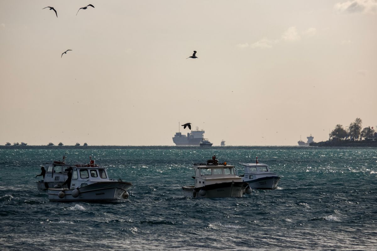 Scenic view of boats and birds on the Bosphorus Strait, Istanbul.