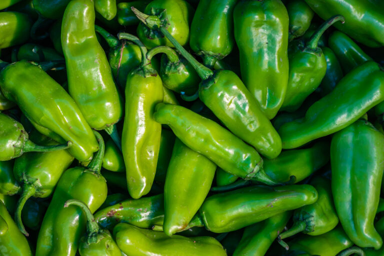 FDA Classifies Jalapeño Product Recall as Class I After Texas and Louisiana Products Are Pulled